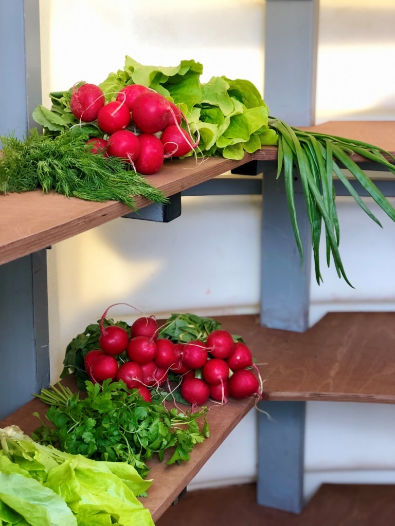 Plastic cellar, underground basement and pantry 2,0 m x 1,75 m  🍏 Regulatory documents Natural Fridge -  Offer