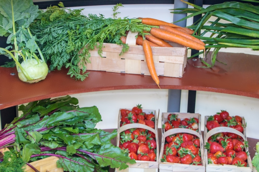 Cave à vin et garde-manger en plastique 2,0 m x 1,75 m alternative moderne aux caves en béton et en pierre, au réfrigérateur électrique. Hermétique, ils sont absolument scellés, ont  🍏 Règles de la Boutique en ligne Natural Fridge -  Offre