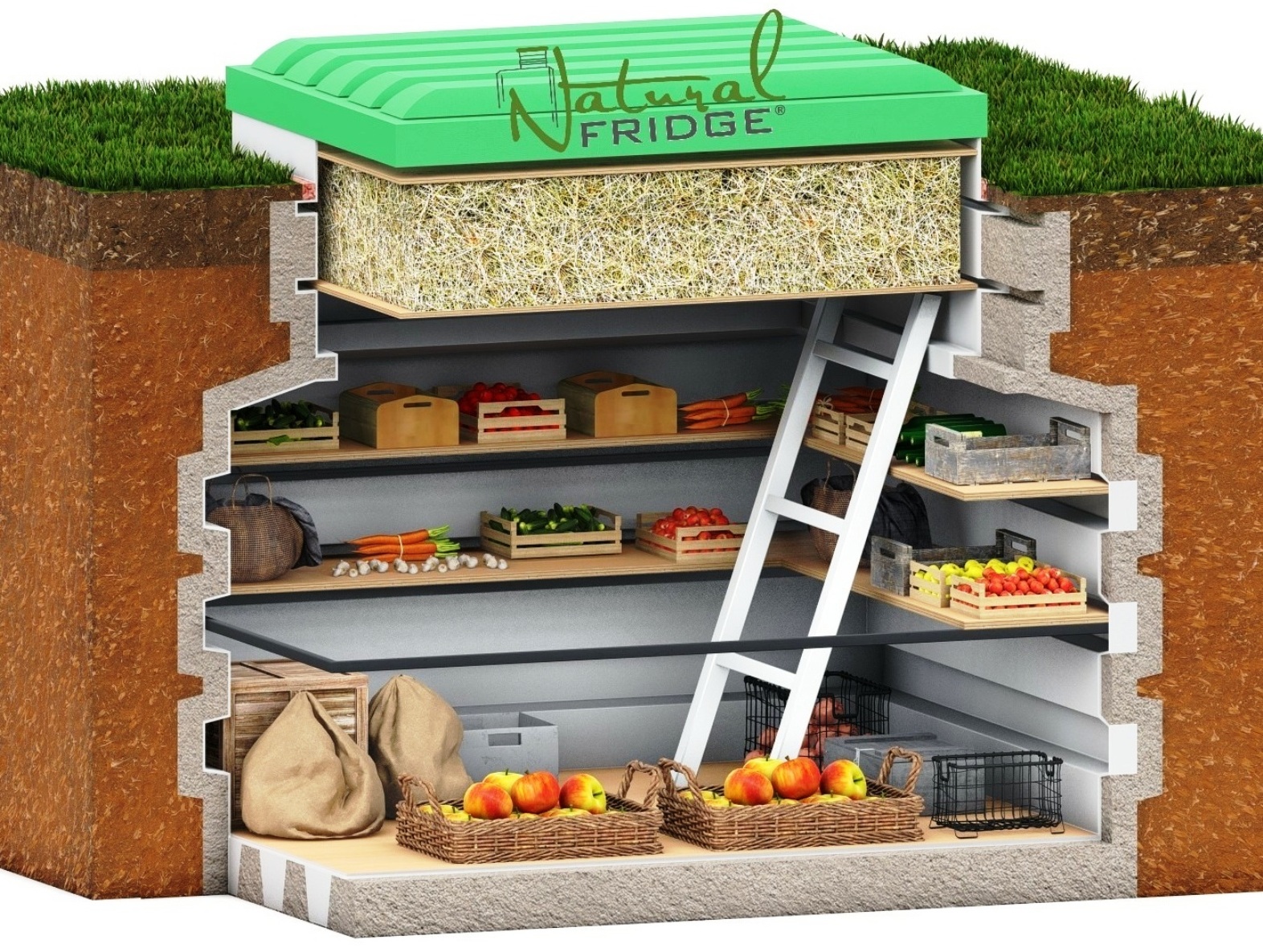Schimmel und Pilze hassen Plastik - Hinterhofkeller 1,2 m x 1,6 m  – Gewicht 195    – Eingangsmaße 70х100 cm  – Regalfläche 1,6 m² Erdkeller Modell 120x160 Natural Fridge  2.350  EUR inkl. MwSt. , zzgl.  Versandkosten