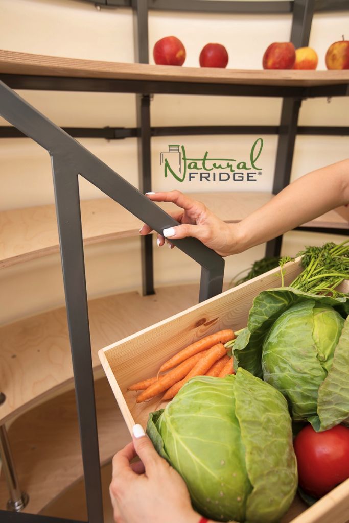 Natural FRIDGE ® Erdkeller im Garten für die Lagerung von Gemüse, Obst und Alkohol, Plastikkeller unterirdisch, Kunststoff Speisekammer, Gartenkeller Geschäftsordnung – diese Geschäftsordnung legt die  🍏 Vorschriften Natural Fridge -  Angebot